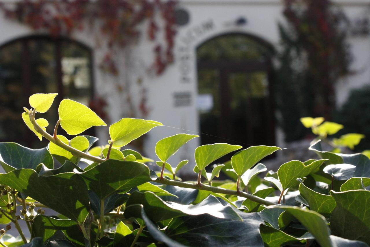 The Zen Hotel - Posticum Oradea Bagian luar foto